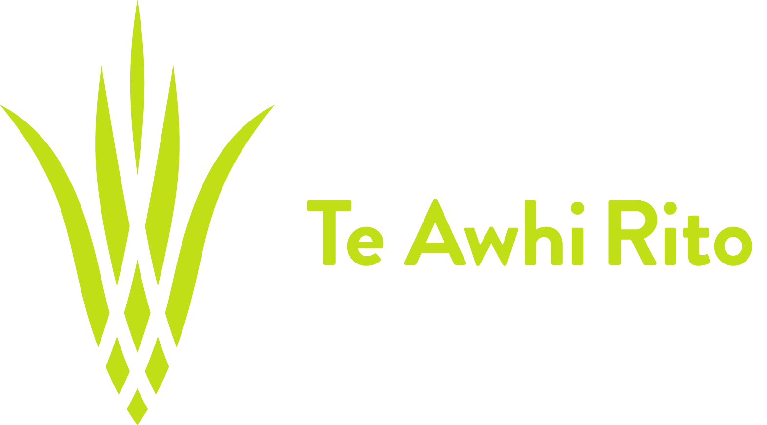 Reading Ambassador